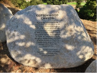 cottonwood2